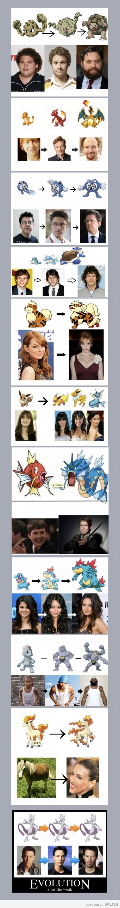 Funny Evolution Chart