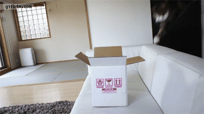 78baf4bfe9aaee2c50f9d36276115632.gif