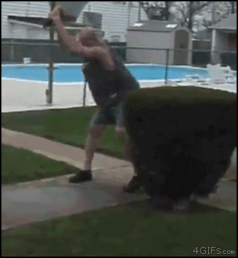 e5cdc07d5dbef61ac0281e7b3ecf9cba.gif